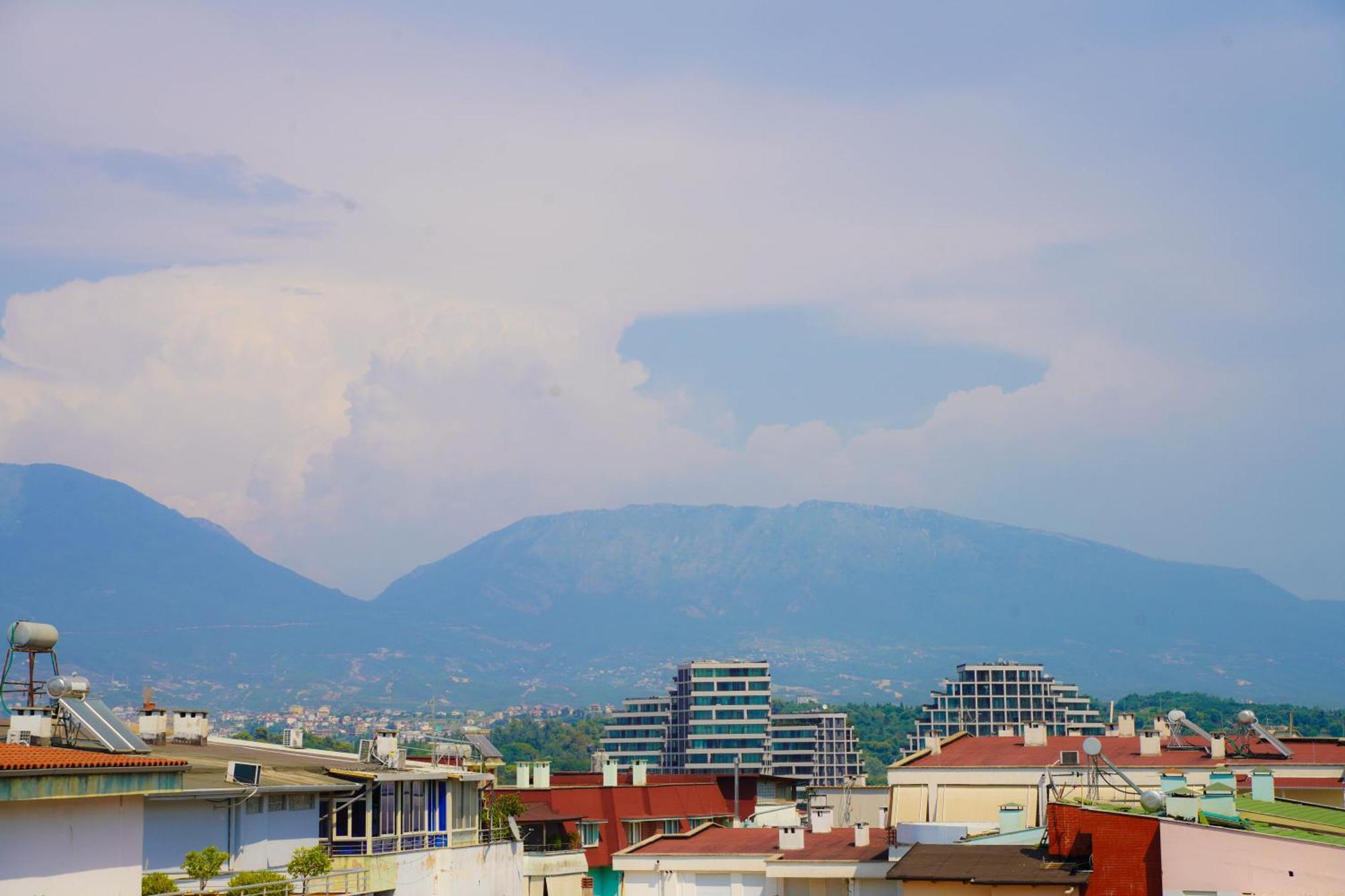 Haris Tirana
